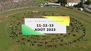 Marché Concours  Teaser 2023 [upl. by Guise]