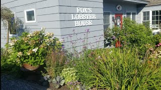 Great dining at Foxs Lobster House [upl. by Lohman349]