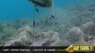 Come PESCARE con un SACCHETTINO in PVA parte 2di2  CarpFishing TV [upl. by Ailuj]