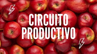 🍎¡Circuito Productivo Manzanas y Peras🍐 [upl. by Ranchod528]