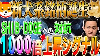 【SHIB・DOGE ホルダー朗報】新犬系銘柄 爆裂上昇シグナルコインcrypto cryptocurrency solana tron ethereum shiba doge [upl. by Nats]