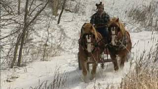 The Modern Horse Loggers of Minnesota [upl. by Samuella939]