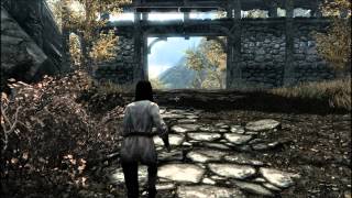 Skyrim  mod  Vivez une nouvelle vie  par Tostaky le Panda Gamer [upl. by Askari]