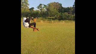 HOW TO WEBSTER FLIP🥀websterflip 🥰most vewers 😘flip video happy 🙏dewaliADIVASI FLIPPER [upl. by Ahders]