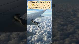 Flying snack on commercial airliner wing shortvideo aviation pafpilots americanpresident [upl. by Lenee]