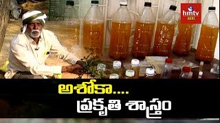 Natural Farming  Farmer Ashok Kumar About Organic Fertilizers  hmtv Agri [upl. by Cyrus]