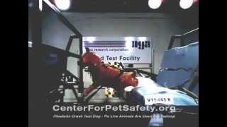 Center for Pet Safety Pet Auto Restraint Crash Test [upl. by Estel691]