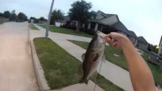 Catching a Bass in the Storm Sewer [upl. by Kirkwood274]