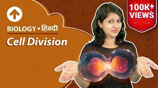 Cell Division  Hindi  Biology [upl. by Thaxter]