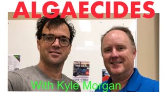 Get Your Pool Blue Fast Algaecide Tips Tricks And Secrets With Kyle Morgan [upl. by Jaenicke]