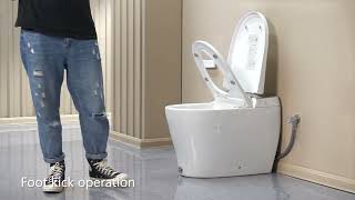 Casta Diva CDY060 Smart Toilet with Builtin Tank [upl. by Darcey]