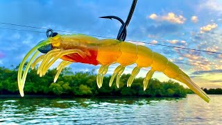 The Perfect Prawn  Catching Mangrove Jacks In Heavy Structure [upl. by Laural]