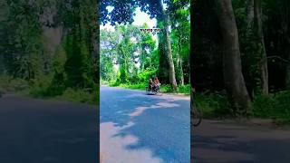 মধুপুর বন foryou বন shortvideos trending [upl. by Anali]