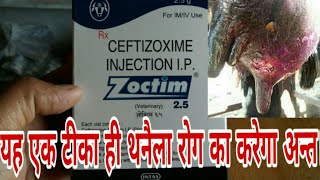 पशुओं को थनैला रोग mastitis prolapse हर तरह की infection से राहत दिलाएगा ये अकेला टीका। [upl. by Eirroc]