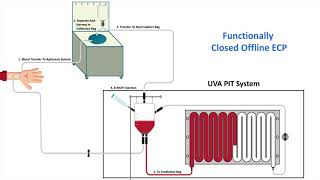 UVA PIT System  Online Configuration [upl. by Cos]