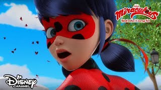 Biedronka kontra Władca Ciem  Miraculous Biedronka i Czarny Kot  Disney Channel Polska [upl. by Lyle]