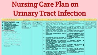 NCP 23 Nursing care Plan on Urinary Tract Infection UTI Genitourinary Disorders [upl. by Nowyt]