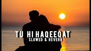 Tu hi haqeeqat  slowed amp reverb  fact crunch [upl. by Berkie]