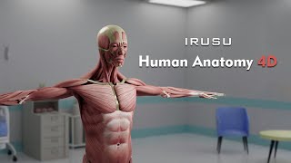 Explore the Human Body in Virtual Reality with Irusu VR Anatomy App [upl. by Anierdna]