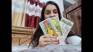 GEMINI CAREER TAROT READING NOVEMBER 2024 GRADUALLY OPENING NEW DOORS [upl. by Levan4]