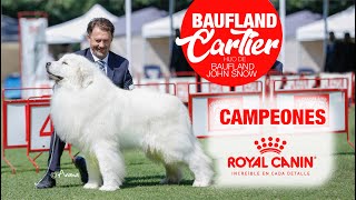 CAMPEONES ROYAL CANIN I GIGANTE DE LOS PIRINEOS I BAUFLAND CARTIER [upl. by Gunthar]