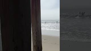 Under Cayucos Pier on a foggy day beach cayucos pier pacific [upl. by Abe]