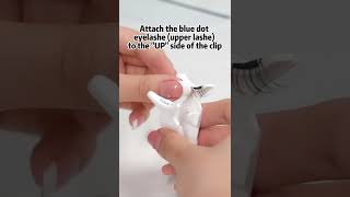 How to use soft magnetic eyelashes [upl. by Nylssej]