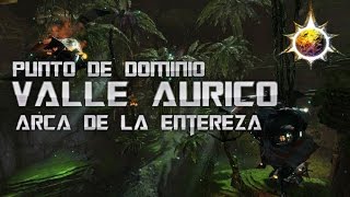 Guild Wars 2  Punto de dominio  Arca de la Entereza  Endurance Strongbox [upl. by Anilosi]