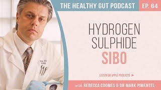 New Hydrogen Sulphide SIBO with Dr Mark Pimentel and Rebecca Coomes  Ep 64 [upl. by Seel]