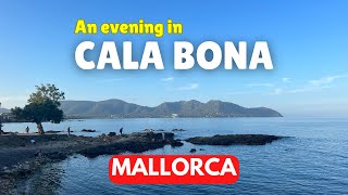 CALA BONA Mallorca Dinner amp evening entertainment [upl. by Marni84]