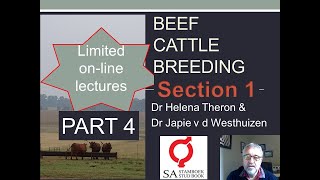 4 Online English Beef Cattle Breeding Course Section 1 PART 4 [upl. by Ayifas]