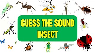 Can You Guess the Insect Sound  Bug Sounds  Test Your Nature IQ [upl. by Stephania]