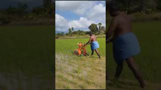 paddy Weeder rs 18000 9787672239 Melur Madurai TN India 1 [upl. by Tomasina]