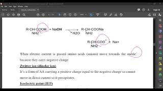 L4 Amphoteric property [upl. by Tamra]