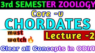 🎯for 2 amp 3rd SemesterCOREVLARVAL FORMS OF PROTOCHORDATES 💯  Full Concept Clear ବୁଝନ୍ତୁ ଓଡିଆରେ🔥 [upl. by Ogg]