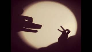 Amazing hand shadow performance  a wolf chases a rabbit through the woods [upl. by Rebeca]