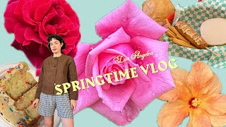 LA VLOG • Spring is here baby hummingbirds slowing down 🌎 [upl. by Mcknight525]