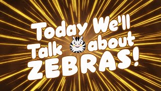 🦓We Will Talk About Zebras 😍 The Fun and Cute Sides of Zebras 💕 [upl. by Darnall349]