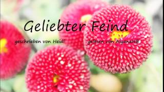 Geliebter Feind FF  Kapitel 1 von Heidi gelesen von AiyanaHB [upl. by Akcirderf]