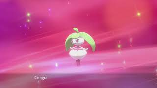 Pokémon Sword amp Shield  How to Evolve Bounsweet into Steenee [upl. by Mohr546]