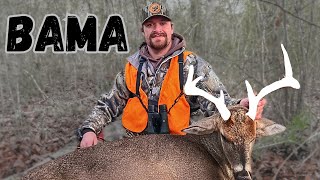 ALABAMA DEER HUNTING January Rut Hunt [upl. by Lativa]