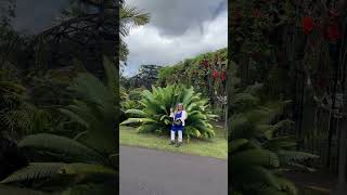 En Hawai’i viralvideo youtubeshorts travel trending [upl. by Colvin969]