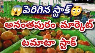 17092024 టమాటా స్టాక్అనంతపురం టమాట రేట్స్ tomato market rates today Tomato Anantapur [upl. by Adlen]