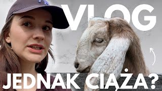 VLOG CZY TO JEDNAK CIĄŻA 🐐 🤯🌱 [upl. by Vins]