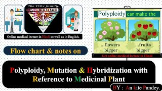 Polyploidy Mutation amp Hybridization with Reference to Medicinal Plant in Hindi  Polyploidy [upl. by Sulamith]