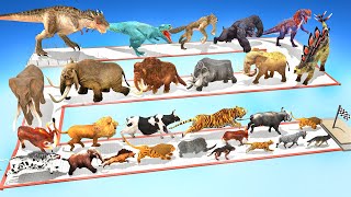 Which Animal vs Dinosaurs Speed Race Run Zigzag Down Course from Outside Animal Revolt Battle Simul [upl. by Libby]