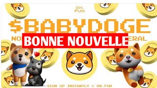 🟥⬇️🚀BABYDOGE COIN  DÉSORMAIS POSSIBLESTAKELAYERENFINÉMIRATS ARABES UNIS [upl. by Aurie143]