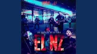 El NZ [upl. by Nahshon]