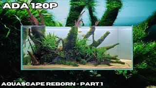 AQUASCAPE REBORN  WE MADE IT BIGGER AND BETTER PART 1 [upl. by Lener]