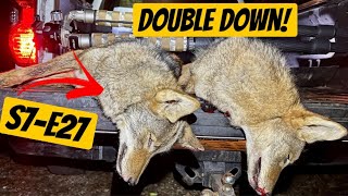 65 Creedmoor Coyote Hunting DOUBLE  Season 7  Ep 27 [upl. by Dorisa]